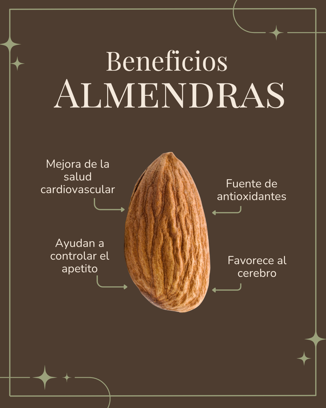 Beneficios almendras premium - Productos naturales Doble V Almendras Mendoza